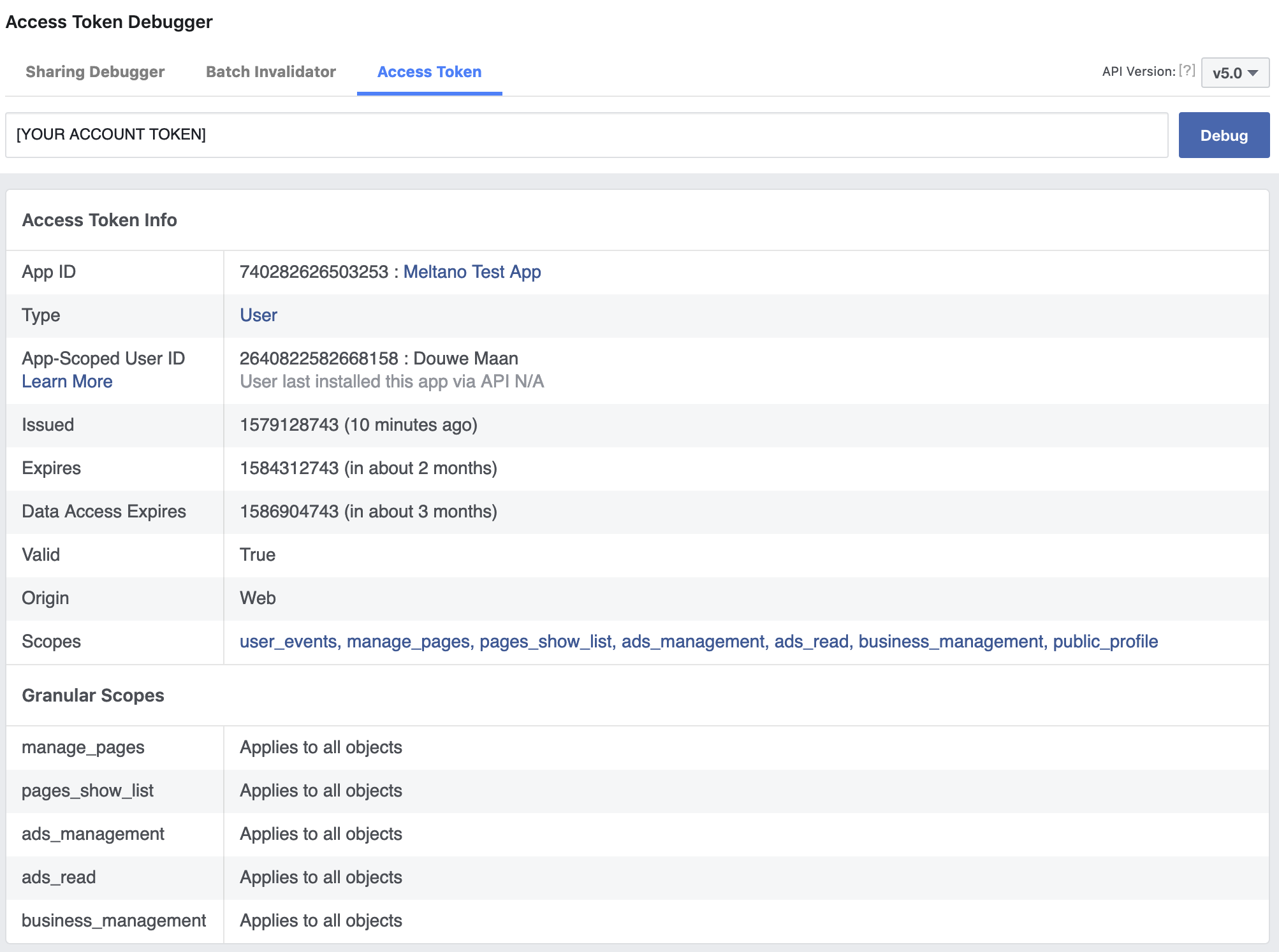 Screenshot of the Access Token Debugger